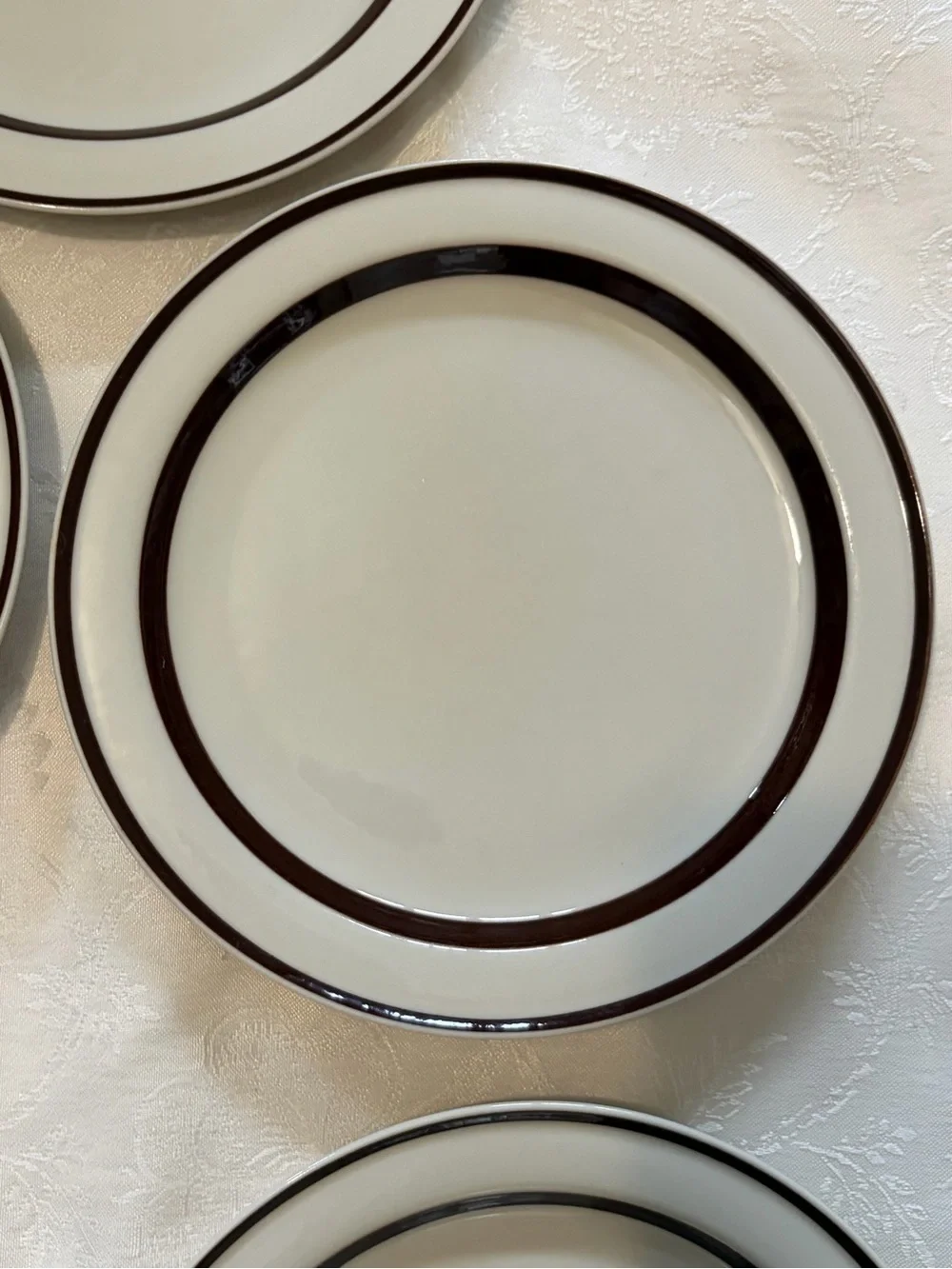 Orbit Stoneware Cream Dinner Plates Brown 221 with Double Rim